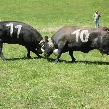 Διαμέρισμα Flora