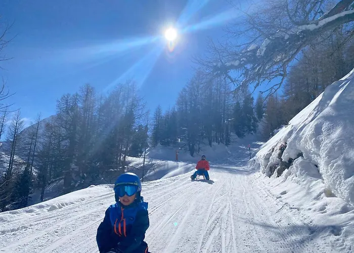 Flora شقة ساس-الماغيل