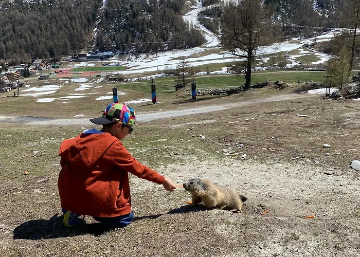 Flora شقة ساس-الماغيل