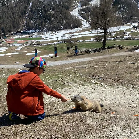 Flora Appartement Saas-Almagell